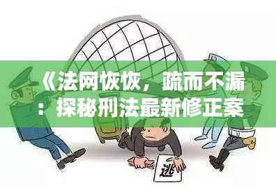 《法网恢恢,疏而不漏:探秘刑法最新修正案的智慧之光》