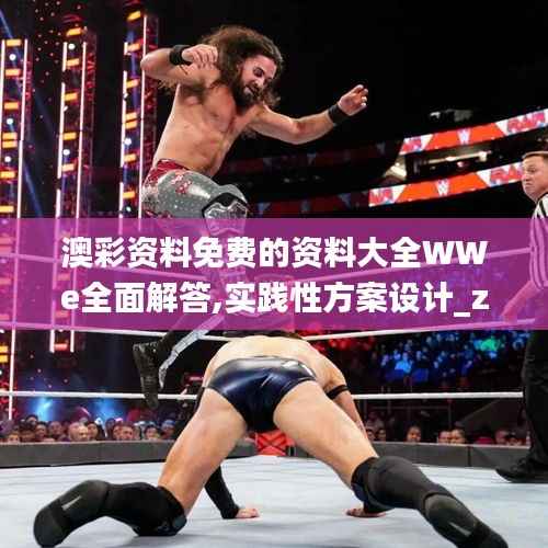 澳彩资料免费的资料大全WWe全面解答,实践性方案设计_zShop46.849