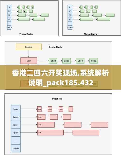 香港二四六开奖现场,系统解析说明_pack185.432