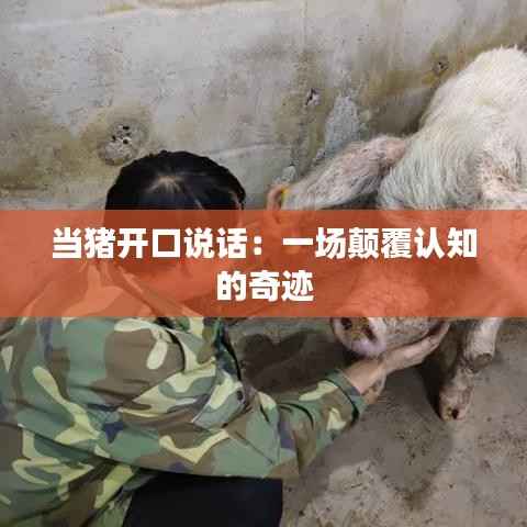 当猪开口说话:一场颠覆认知的奇迹