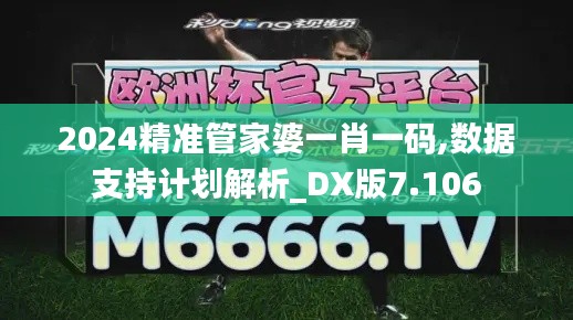 2024精准管家婆一肖一码,数据支持计划解析_DX版7.106