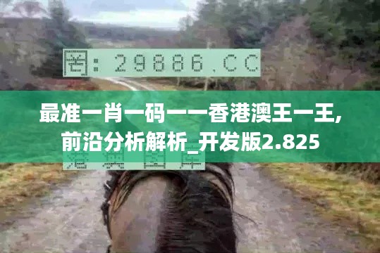 最准一肖一码一一香港澳王一王,前沿分析解析_开发版2.825