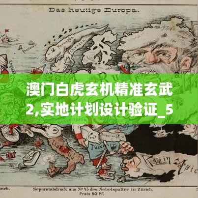 澳门白虎玄机精准玄武2,实地计划设计验证_5DM2.693