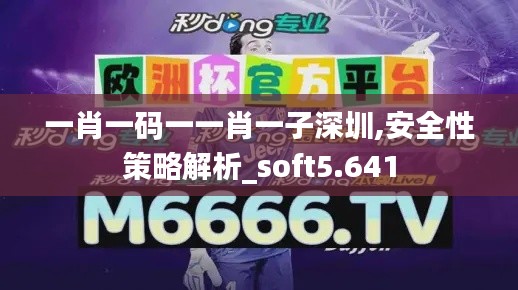 一肖一码一一肖一子深圳,安全性策略解析_soft5.641