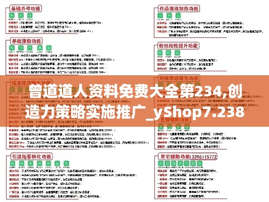 曾道道人资料免费大全第234,创造力策略实施推广_yShop7.238