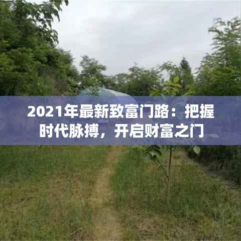 2021年最新致富门路:把握时代脉搏,开启财富之门