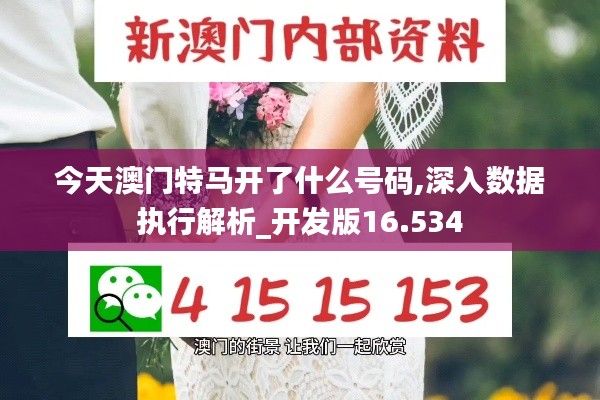 今天澳门特马开了什么号码,深入数据执行解析_开发版16.534