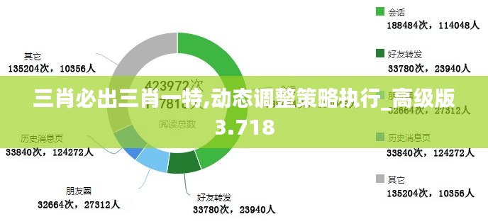 三肖必出三肖一特,动态调整策略执行_高级版3.718
