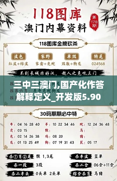 三中三澳门,国产化作答解释定义_开发版5.903