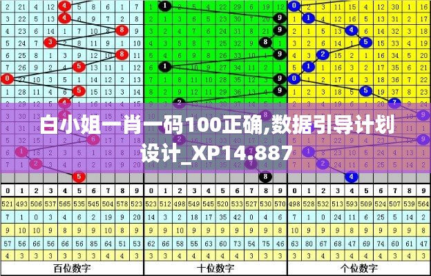 白小姐一肖一码100正确,数据引导计划设计_XP14.887