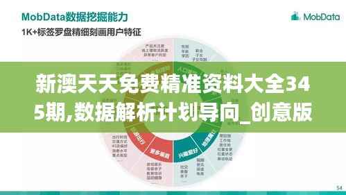 新澳天天免费精准资料大全345期,数据解析计划导向_创意版19.104