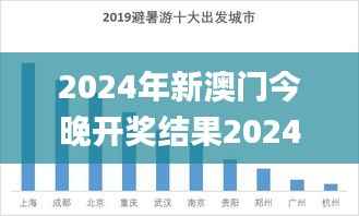 2024年新澳门今晚开奖结果2024年,实地分析数据设计_PT4.504