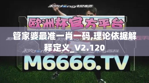管家婆最准一肖一码,理论依据解释定义_V2.120