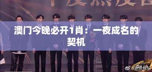 澳门今晚必开1肖:一夜成名的契机