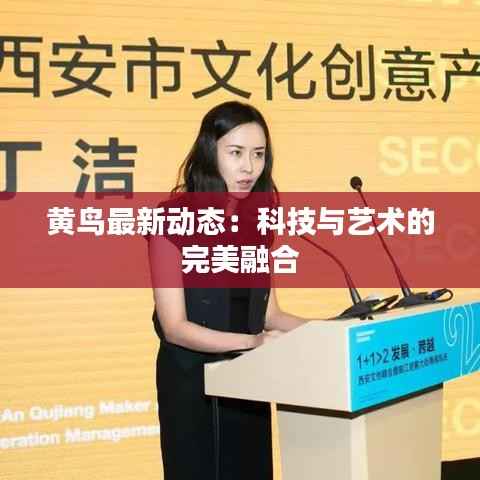 黄鸟最新动态:科技与艺术的完美融合