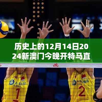 百不得一 第4页