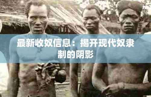 最新收奴信息:揭开现代奴隶制的阴影