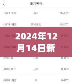 2024年12月14日新澳门一码一码100准确 - 极致精准的背后故事