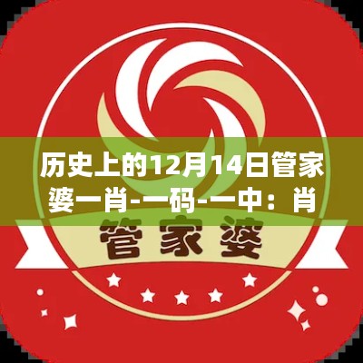 历史上的12月14日管家婆一肖-一码-一中:肖一码与一中的不解之缘