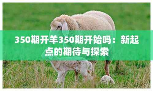 350期开羊350期开始吗：新起点的期待与探索