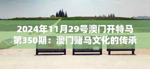 2024年11月29号澳门开特马第350期:澳门赌马文化的传承与创新