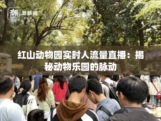 红山动物园实时人流量直播:揭秘动物乐园的脉动