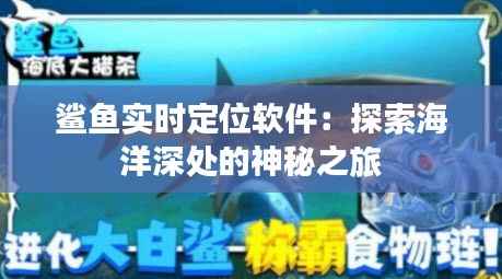鲨鱼实时定位软件:探索海洋深处的神秘之旅