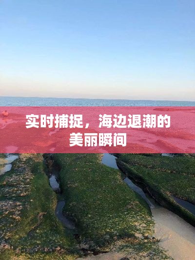 实时捕捉,海边退潮的美丽瞬间