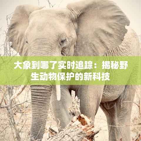 弃文就武 第3页