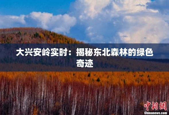 大兴安岭实时:揭秘东北森林的绿色奇迹