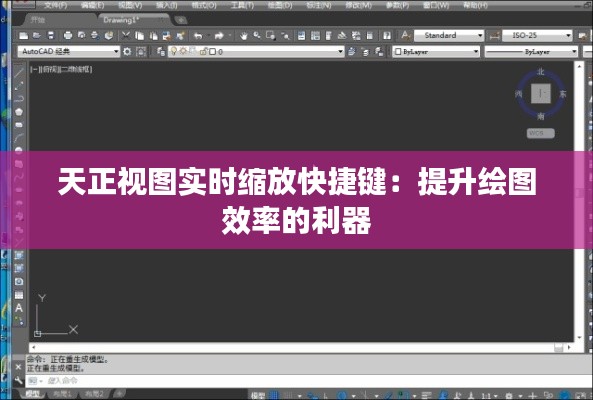 天正视图实时缩放快捷键:提升绘图效率的利器