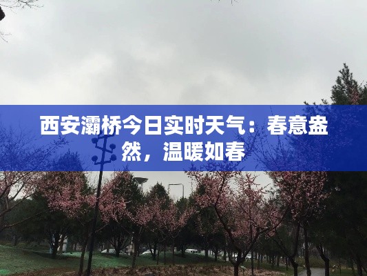 西安灞桥今日实时天气:春意盎然,温暖如春