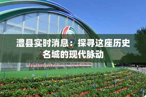 澧县实时消息:探寻这座历史名城的现代脉动