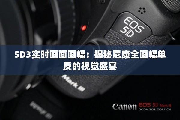 5D3实时画面画幅:揭秘尼康全画幅单反的视觉盛宴