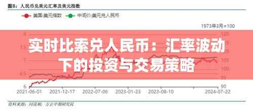 实时比索兑人民币:汇率波动下的投资与交易策略