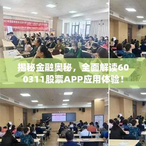 揭秘金融奥秘,全面解读600311股票APP应用体验!