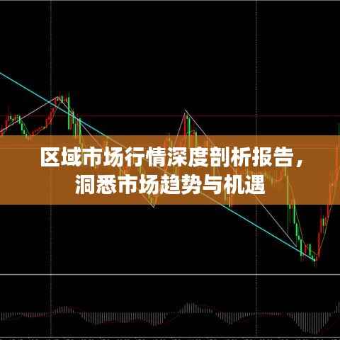 区域市场行情深度剖析报告,洞悉市场趋势与机遇