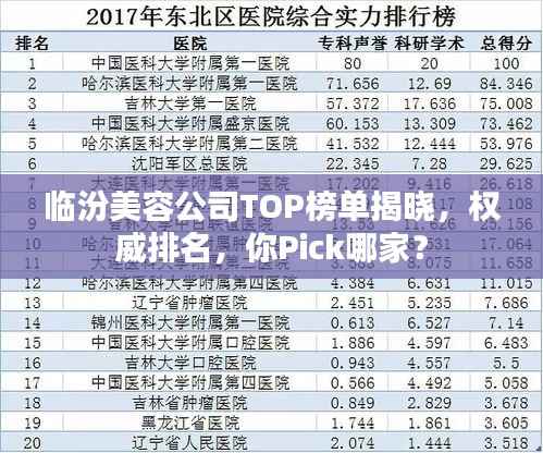 临汾美容公司TOP榜单揭晓,权威排名,你Pick哪家?