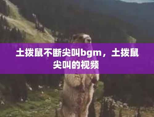 土拨鼠不断尖叫bgm,土拨鼠尖叫的视频