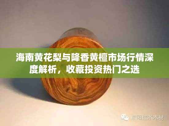 海南黄花梨与降香黄檀市场行情深度解析,收藏投资热门之选