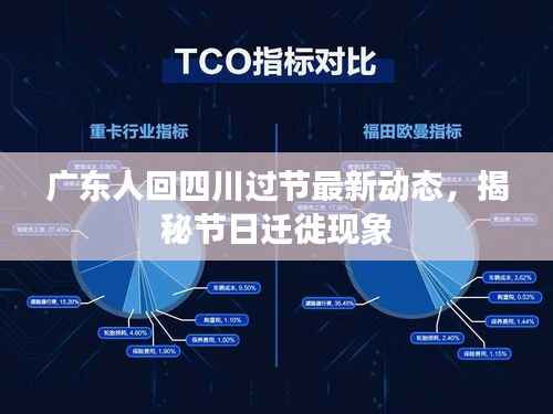 广东人回四川过节最新动态，揭秘节日迁徙现象
