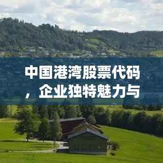 中国港湾股票代码,企业独特魅力与资本市场之旅的揭秘