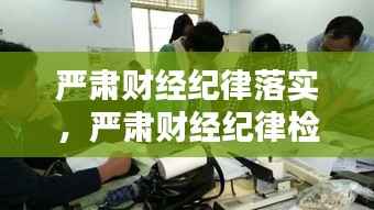 严肃财经纪律落实，严肃财经纪律检查 