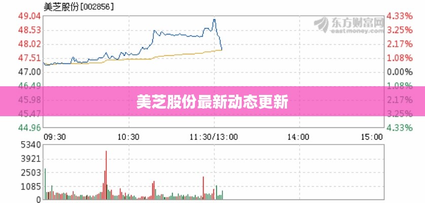 美芝股份最新动态更新