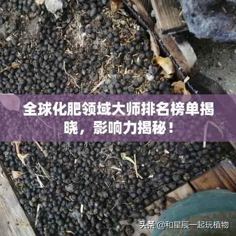 全球化肥领域大师排名榜单揭晓,影响力揭秘!