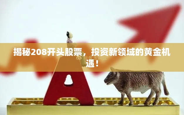 揭秘208开头股票,投资新领域的黄金机遇!