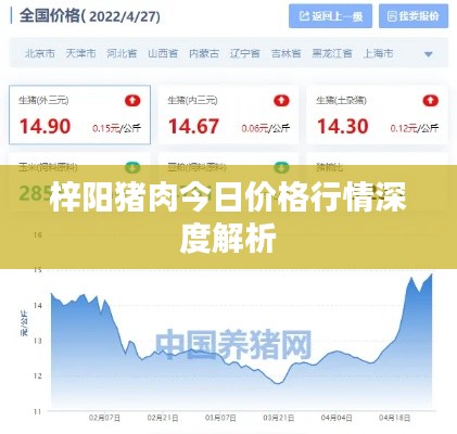 梓阳猪肉今日价格行情深度解析