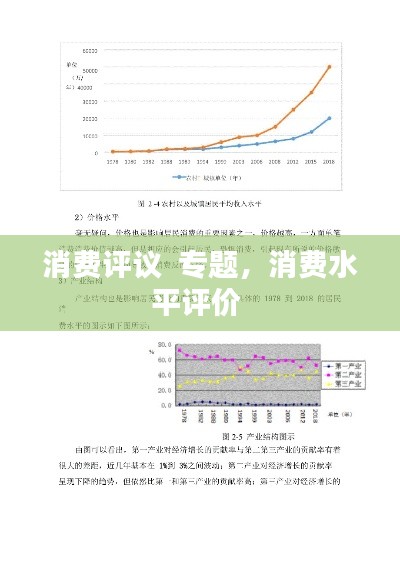 消费评议  专题,消费水平评价