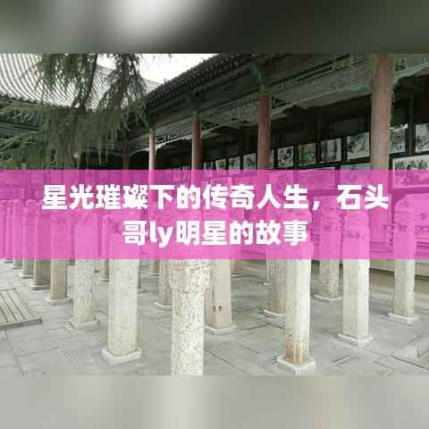 星光璀璨下的传奇人生,石头哥ly明星的故事