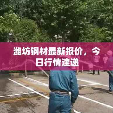 潍坊钢材最新报价,今日行情速递